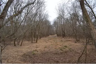 17 Acres Davie Lane, Madison, NC 27025 - Photo 4