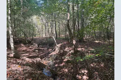 Lot 5 Hidden Creek Lane, Reidsville, NC 27320 - Photo 8