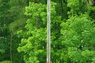 216 S Swing Rd, Greensboro, NC 27409 - Photo 22