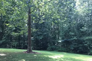 18 8 Ac Key St, Pilot Mountain, NC 27041 - Photo 10