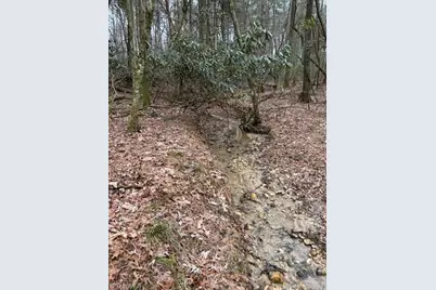 514 Sylvan Road, Thurmond, NC 28683 - Photo 1