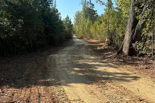 916 Paschal Rd, Yanceyville, NC 27379 - Photo 1