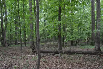 429 Country Club Drive, Stoneville, NC 27048 - Photo 1