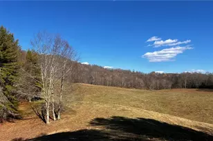 1266 Flatwoods School Rd, Creston, NC 28615 - Photo 1