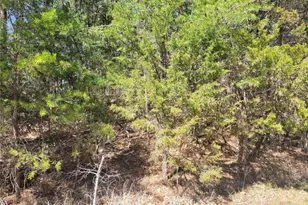 00 Evelyn Dr, Trinity, NC 27370 - Photo 1