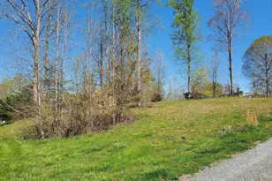 0 Rising Sun Way, Franklinville, NC 27248 - Photo 1