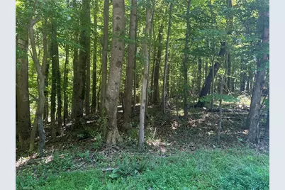 Tbd Golf Course Road, Pilot Mountain, NC 27041 - Photo 1