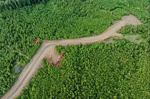 651 Briar Ridge Ln Ext, Yanceyville, NC 27379 - Photo 1