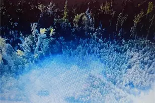 672 Paschal Rd, Yanceyville, NC 27379 - Photo 1