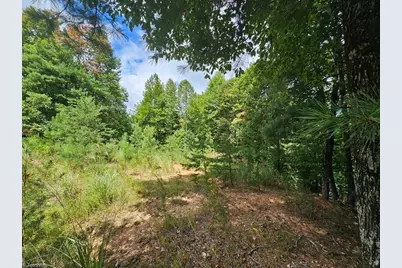 Tbd Mertie Road, Millers Creek, NC 28651 - Photo 1