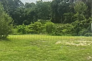 1218 Irving Ave, Eden, NC 27288 - Photo 1