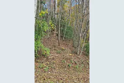 0 Moravian Creek Drive, Moravian Falls, NC 28645 - Photo 1