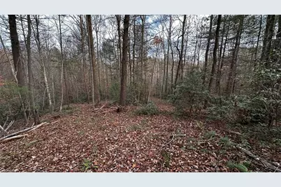 000 Mars Mountain Place, Boomer, NC 28654 - Photo 1