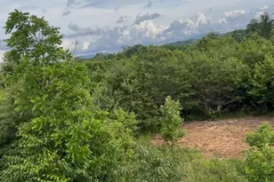 00 Albion Church Rd, Mount Airy, NC 27030 - Photo 1