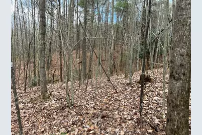 Lot 9 Fisher Valley Road, Dobson, NC 27017 - Photo 1