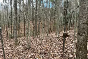 Lot 9 Fisher Valley Rd, Dobson, NC 27017 - Photo 1