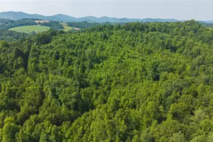 000 Old Vashti Rd, Taylorsville, NC 28681 - Photo 1