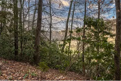Tbd Parsonsville Road, Purlear, NC 28665 - Photo 1