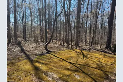 16.89 Ac Auburn Street, Reidsville, NC 27320 - Photo 1