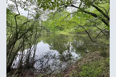 X Green Meadow Lane #5 Ac N, Ararat, NC 27007 - Photo 1