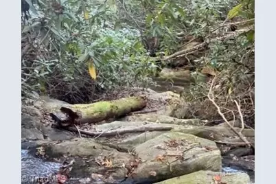 7.99 Mickey Road, Westfield, NC 27053 - Photo 1