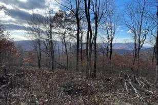 Lot #16 Crown Point Rd, West Jefferson, NC 28695 - Photo 1