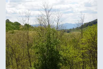 Tbd Ginkgo Drive, Laurel Springs, NC 28644 - Photo 1