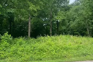 0000 Ward St, Roaring River, NC 28669 - Photo 1