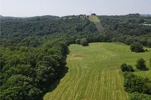 Tbd Mount Sinai Rd, Wilkesboro, NC 28697 - Photo 1