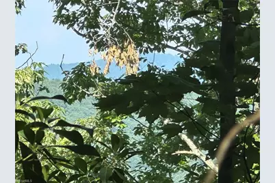 0000 Boone Gap Lane, Taylorsville, NC 28681 - Photo 1