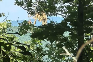 0000 Boone Gap Ln, Taylorsville, NC 28681 - Photo 1