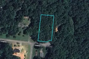 00 Todd Dr, Trinity, NC 27370 - Photo 1