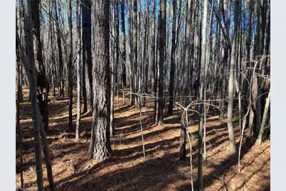 00 Nc Highway 134 N, Star, NC 27356 - Photo 1