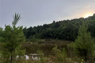 0 Cedar Forest Rd, Franklinville, NC 27248 - Photo 1