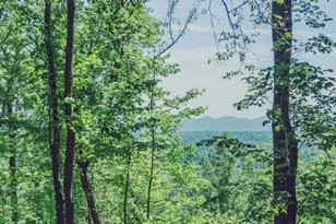 Tbd Hawkins Grove Rd, McGrady, NC 28649 - Photo 1