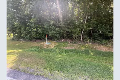 00 Goodman Road, Pelham, NC 27311 - Photo 1