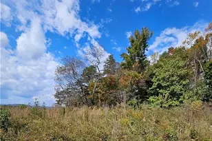 2 Baptist Home Rd, North Wilkesboro, NC 28659 - Photo 1