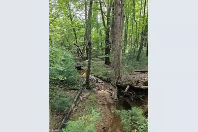 Lot 82 McIntosh Drive, Lowgap, NC 27024 - Photo 1