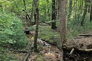 Lot 82 McIntosh Dr, Lowgap, NC 27024 - Photo 1