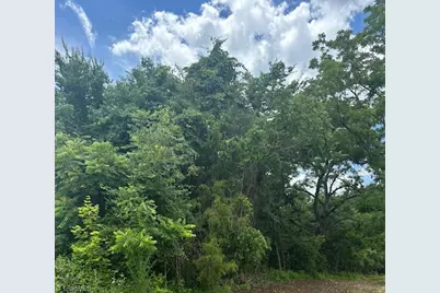 Tract B, 1874 Thayer Road, Trinity, NC 27370 - Photo 1