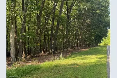 0 Cedar Mountain Road, Mayodan, NC 27027 - Photo 1