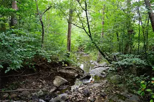 1396-1420 Fitch Rd, Yanceyville, NC 27379 - Photo 1