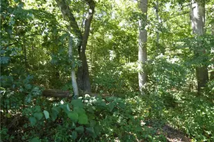 00 Aspen St, Yadkinville, NC 27055 - Photo 1