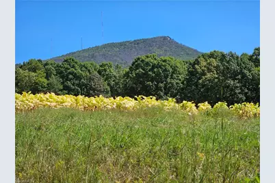 00 Old Mill Road #10 B, Pinnacle, NC 27043 - Photo 1