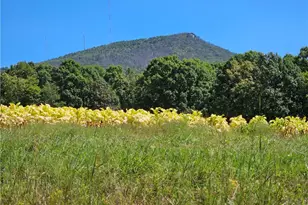 00 Old Mill Rd, Pinnacle, NC 27043 - Photo 1