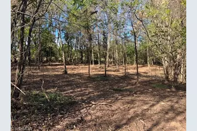 0 Blue Dan Lane, Yadkinville, NC 27055 - Photo 1