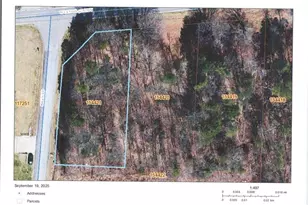 00 W Old US Hwy 421, Hamptonville, NC 27020 - Photo 1