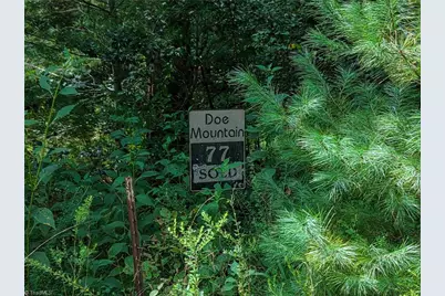 000 Antler Drive, McGrady, NC 28649 - Photo 1