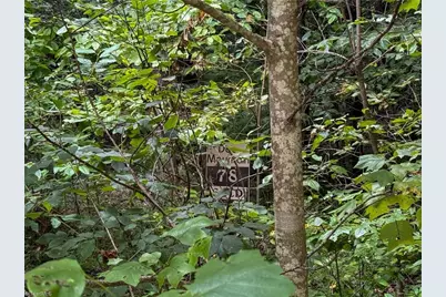 000 Antler Drive, McGrady, NC 28649 - Photo 1