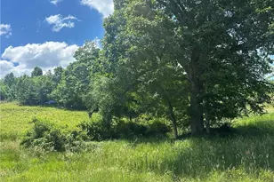 0 Mulberry Academy St, Franklinville, NC 27248 - Photo 1